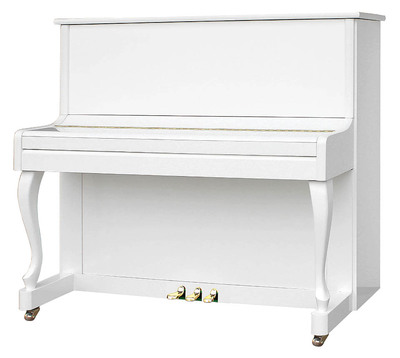 UP-123H2 baise